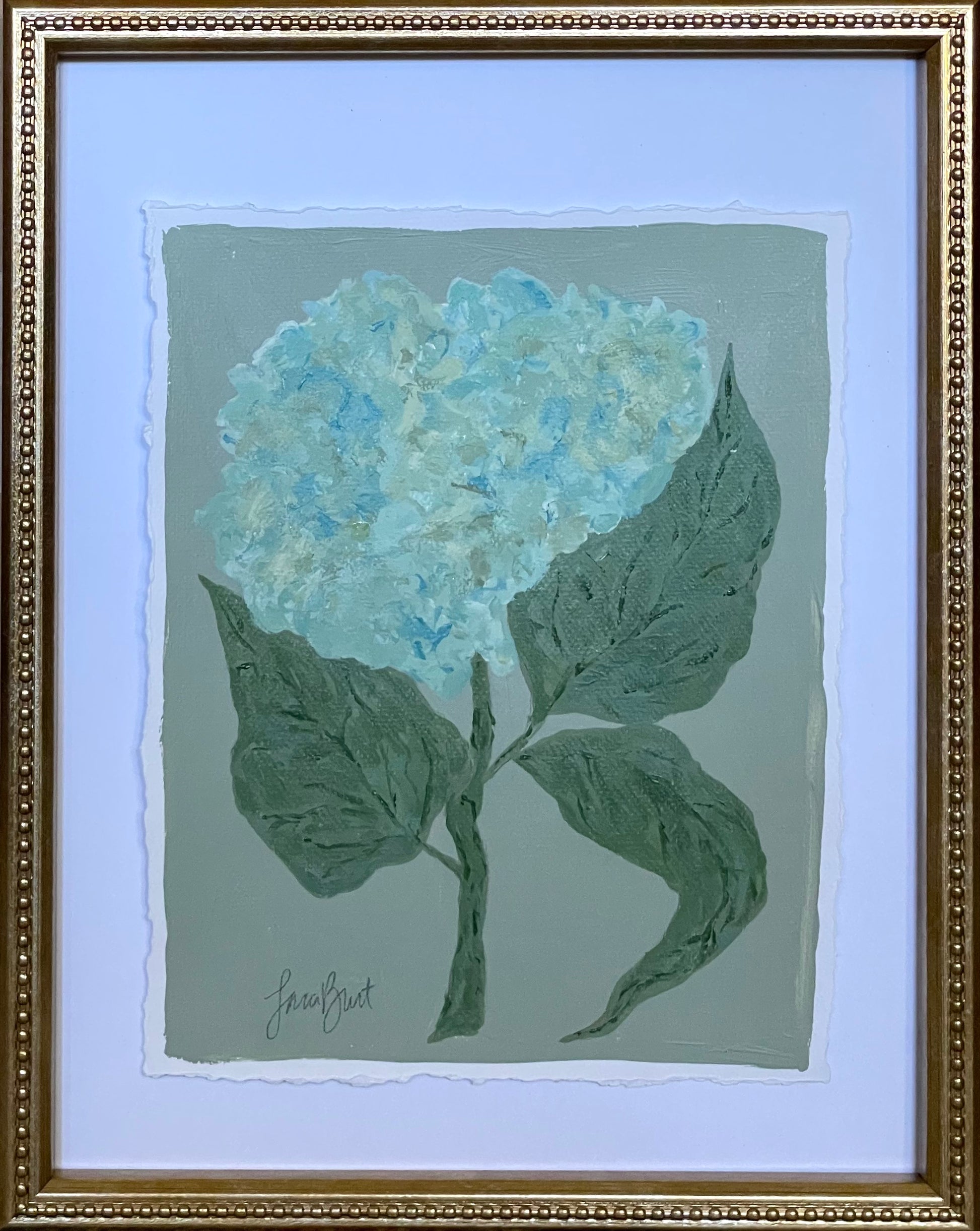 Antique Hydrangea no. 2