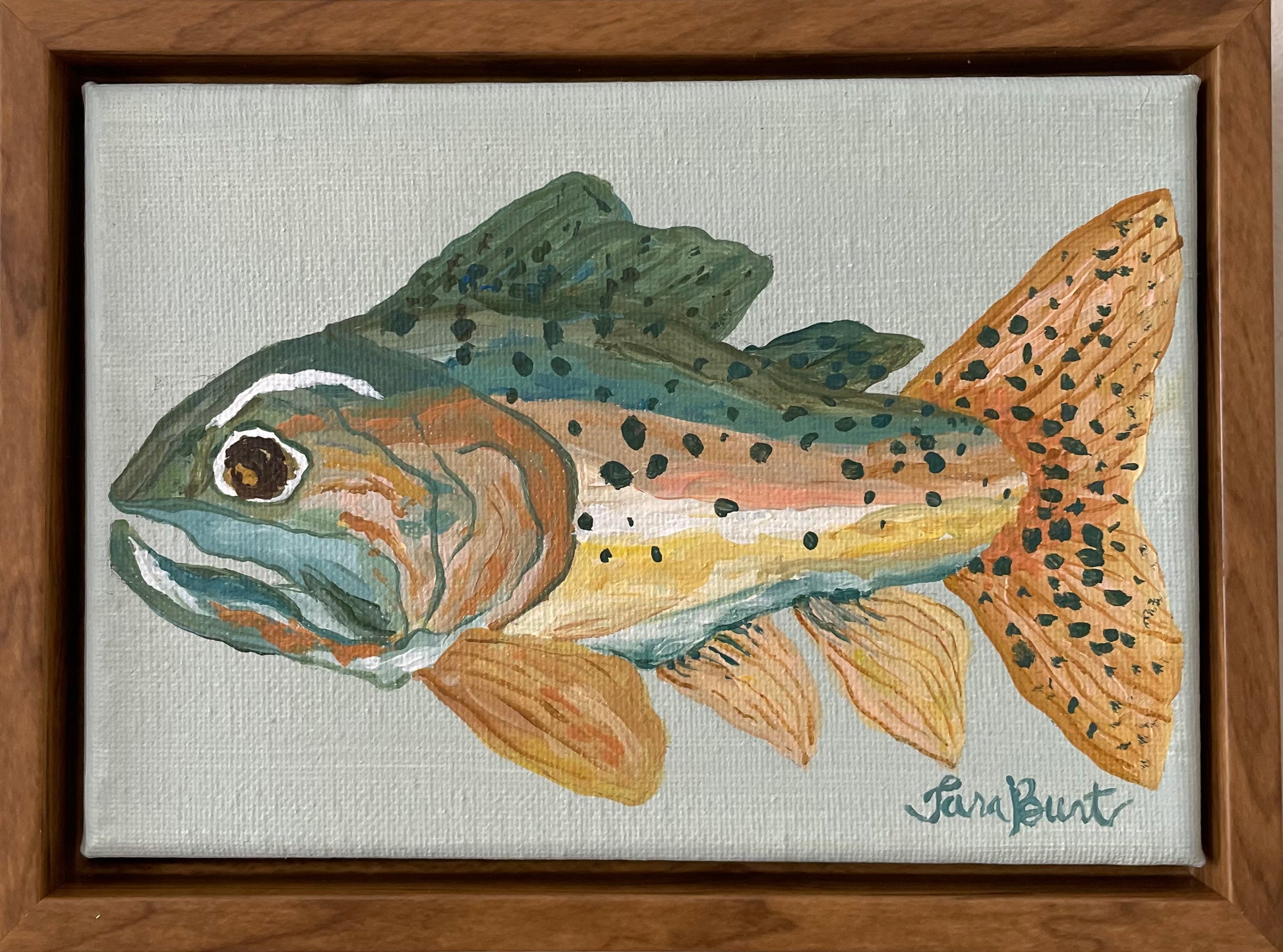 Cutthroat Trout