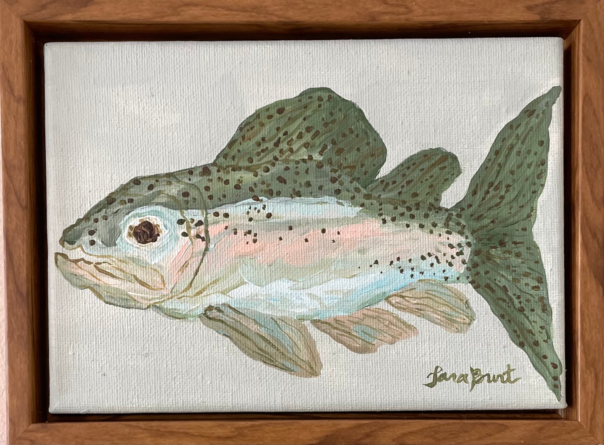 Rainbow Trout