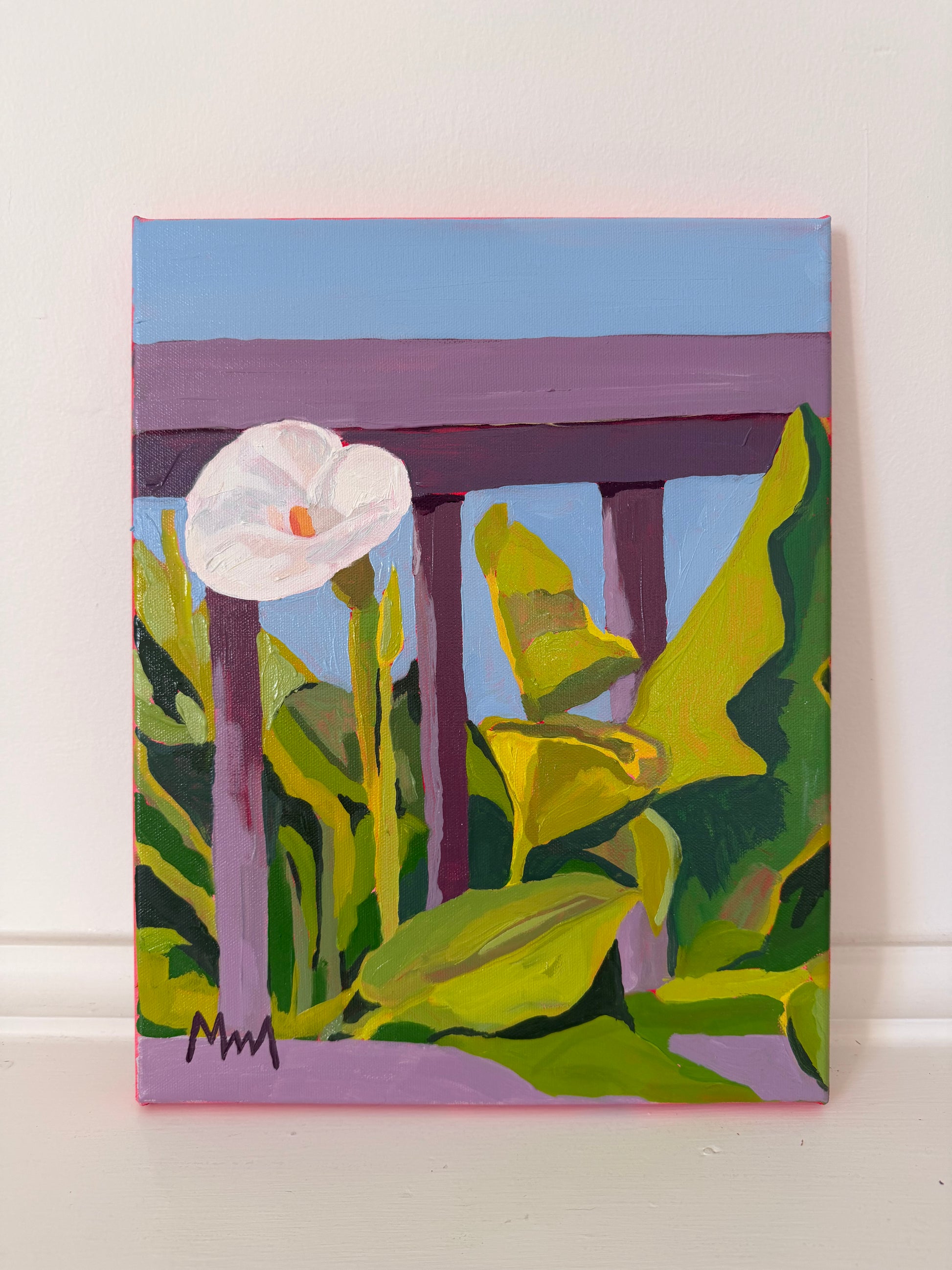 Calla Lily 1