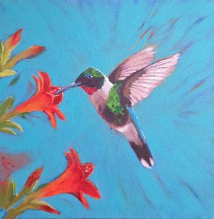 hummingbird